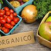 alimentos orgánicos