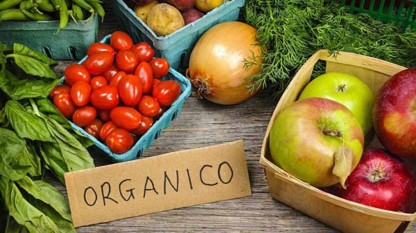 alimentos orgánicos
