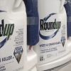 cáncer glifosato roundup monsanto