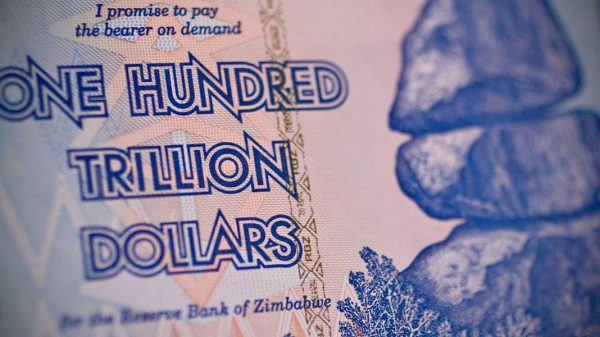 comprar bonos zim
