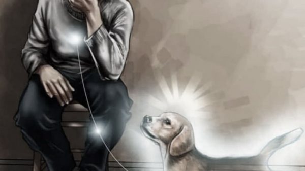 perros ven fantasmas
