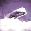 ballenas bitcoin