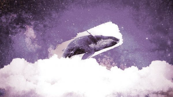 ballenas bitcoin