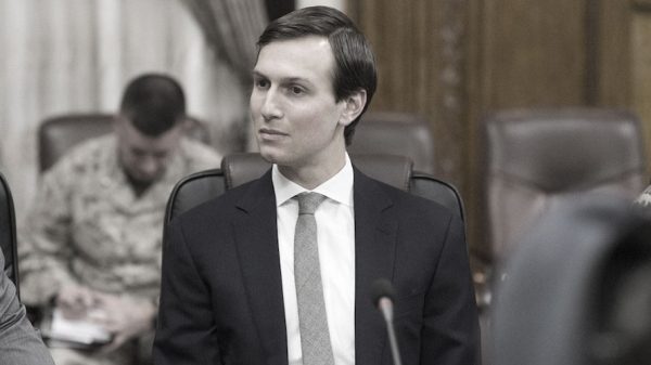 kushner cadre