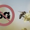 peligro 5g