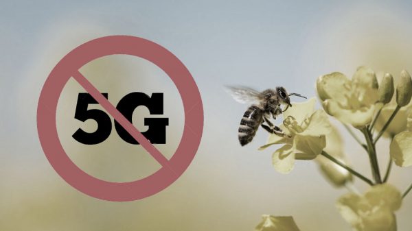 peligro 5g