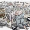 trump cultivos transgenicos