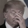 fiesta trump epstein