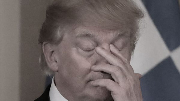 fiesta trump epstein