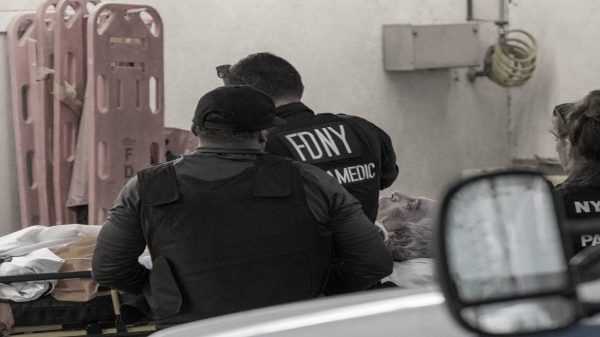 suicidio de jeffrey epstein
