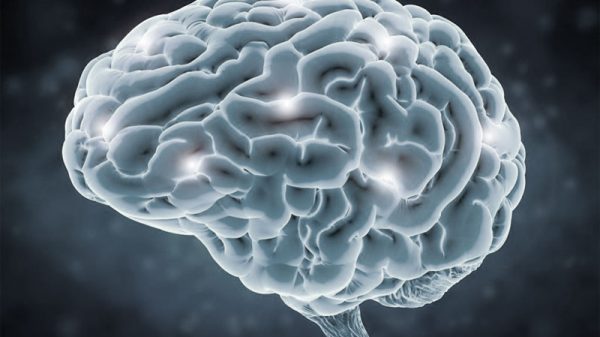controlar cerebro con telefono