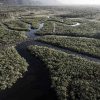 Incendios en ‎la Amazonia