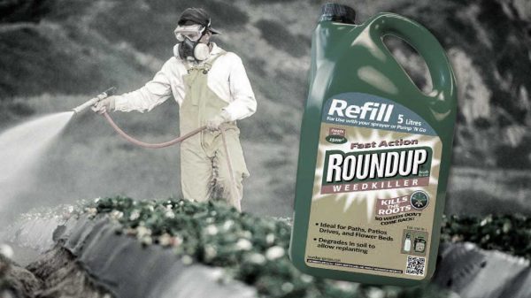 glifosato herbicida cancerigeno