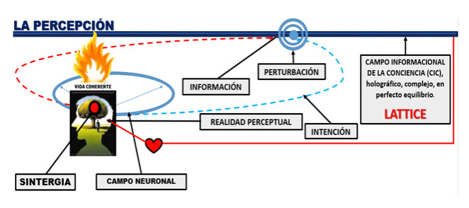 la percepción