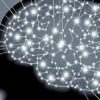 origen de la conciencia
