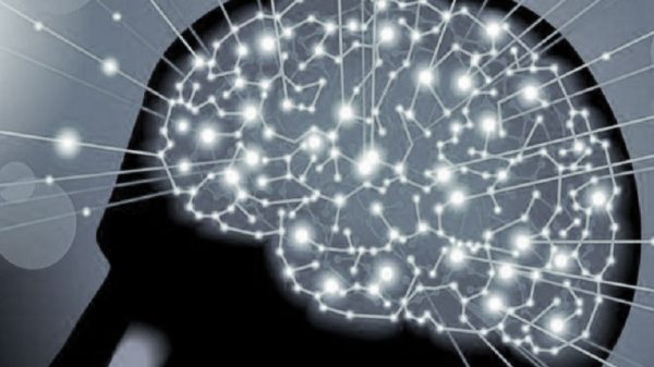 origen de la conciencia