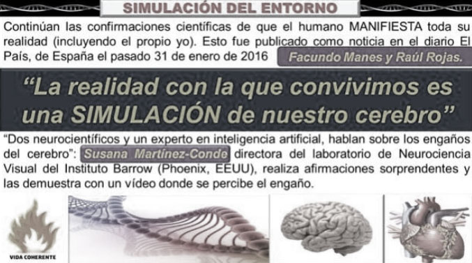 simulación cerebral