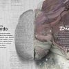 hemisferio derecho del cerebro