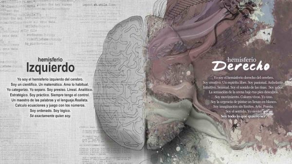 hemisferio derecho del cerebro