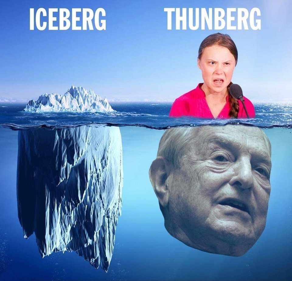 thunberg soros