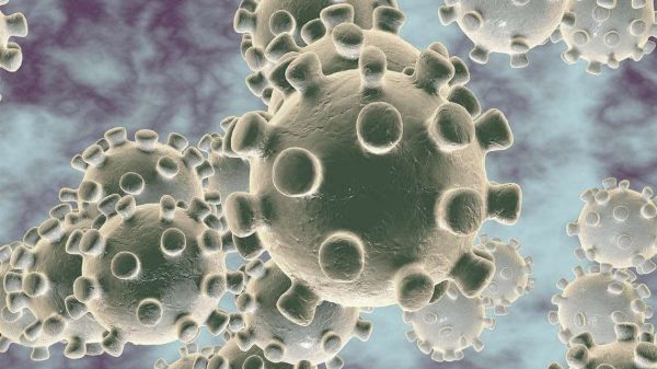 pandemia fabricada