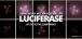 luciferasa