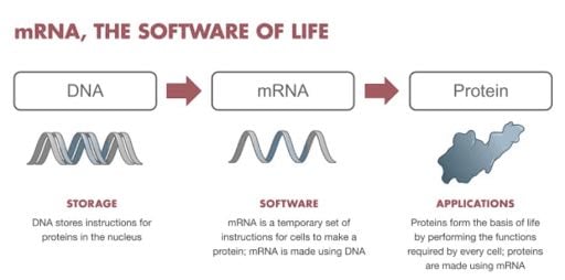 software of life