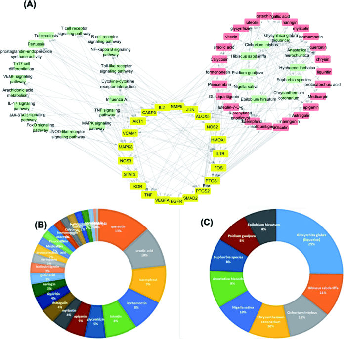 (A) Análisis de las 10 plantas con mayor puntuación de la red combinada planta-compuesto-destino-vía. (B) El porcentaje de distribución de las interacciones C-T en los compuestos identificados. (C) Las distribuciones % de las interacciones C-T en las 10 plantas medicinales con mayor puntuación en la base de datos.