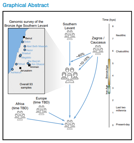 Abstract gráfico de la historia genómica del Levante meridional de la Edad del Bronce.