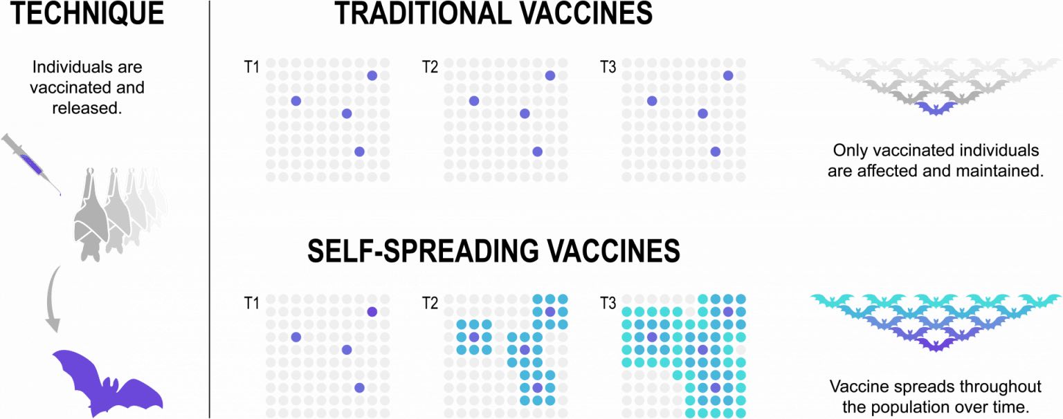 vacunas autoreplicantes