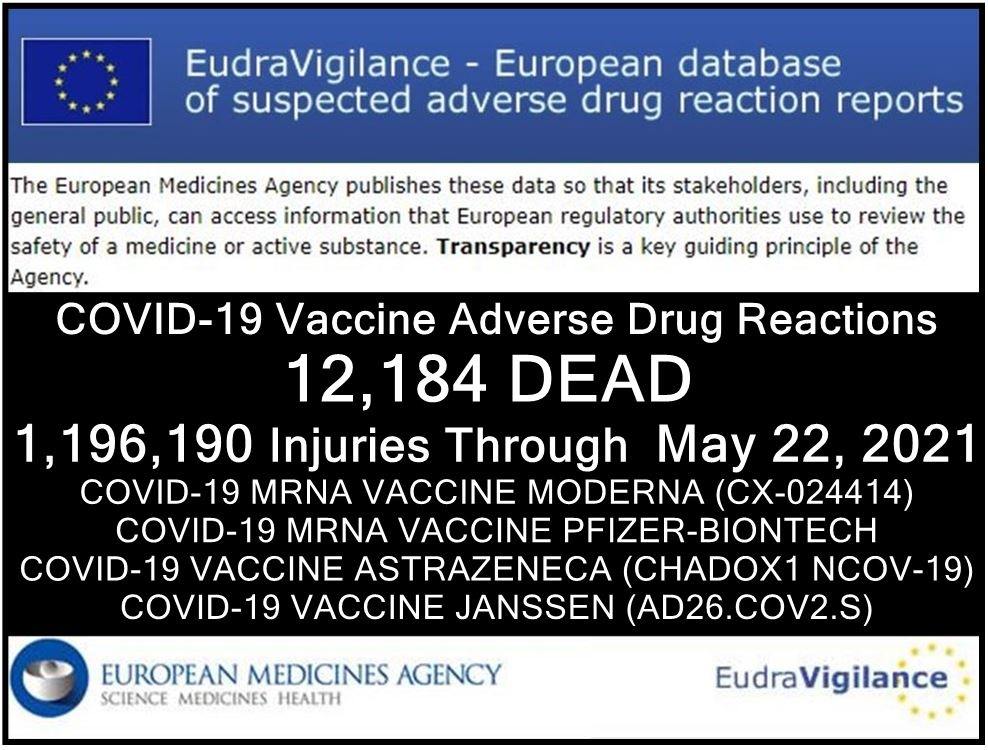 Vea los últimos datos oficiales de muertes y lesiones por vacunas en la UE (desde finales de diciembre de 2020 hasta el 22 de mayo de 2021)