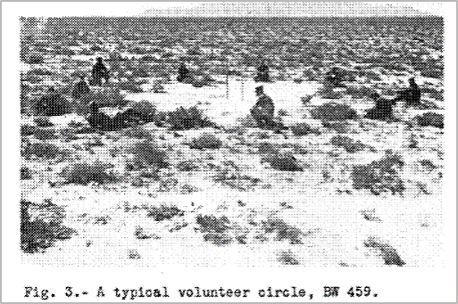 Como referencia: Outdoor Mosquito Biting Activity Studies(img), Project Bellweather I, 1960, Technical Report, US Army, Dugway Proving Ground