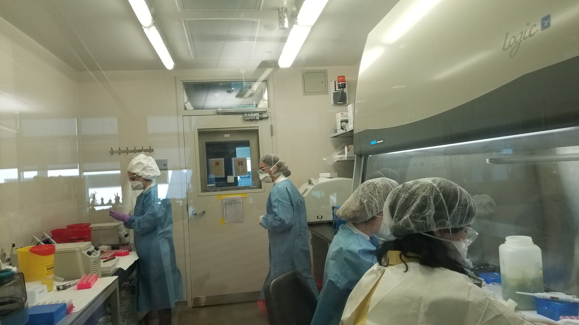 Microbiólogos del Lugar Center extrayendo ARN de heces de murciélago recogidas durante una excursión en el centro de Georgia (foto: Facebook, Kendra Phelps, Eco Health Alliance).
