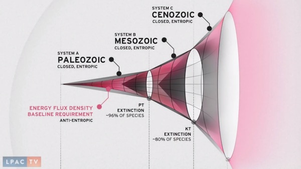 marine fossile diversity