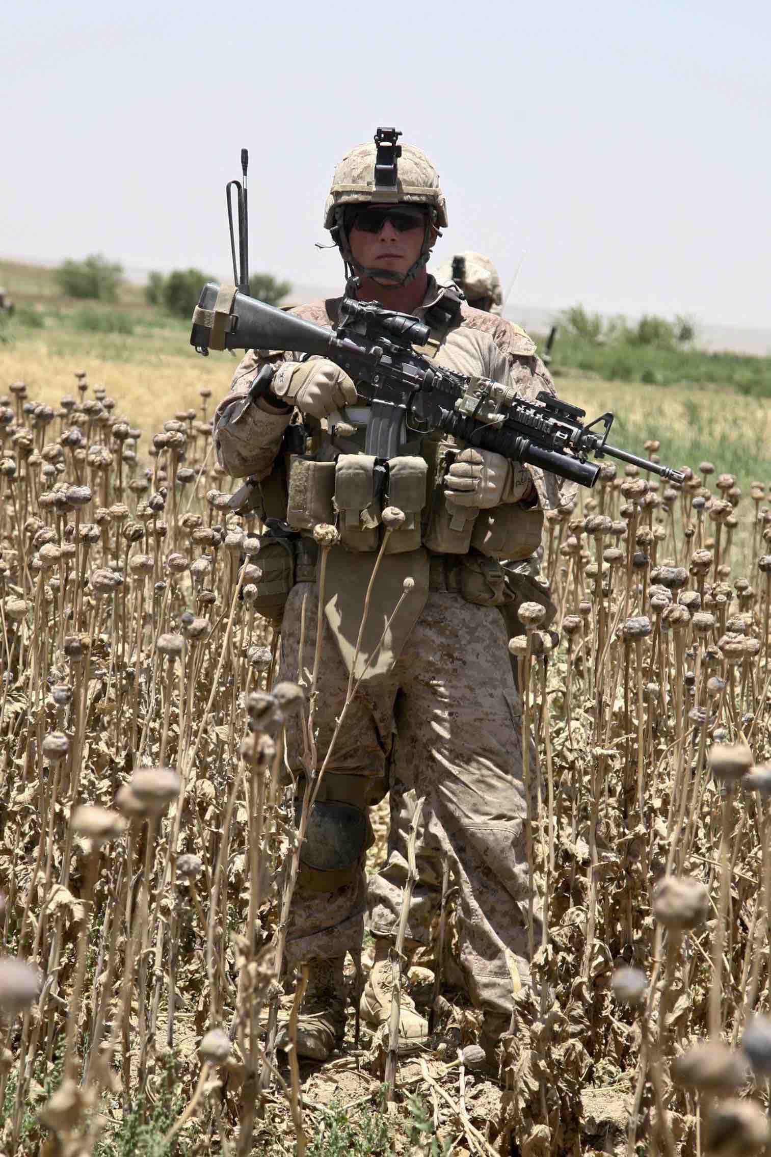 Un marine estadounidense se encuentra en un campo de amapolas durante una patrulla a pie en Sangin, Afganistán. Foto | DVIDS.