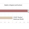 Las vacunas Covid matan a un 79% más de personas que el Covid-19 en el Reino Unido, según estadísticas
