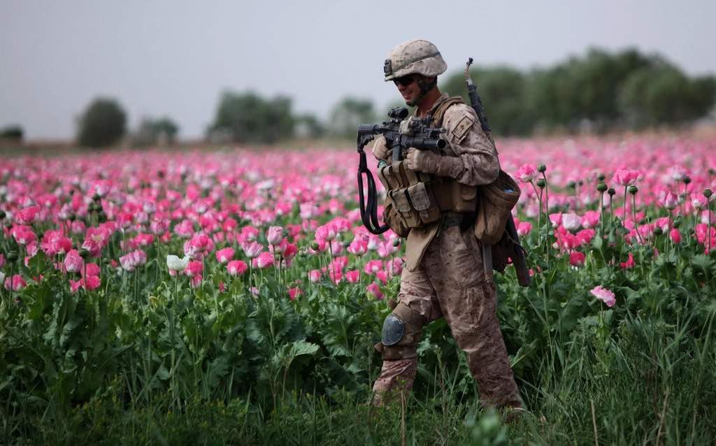 En 2014, Afganistán producía tres veces más opio que en 2000. En 2015, Afganistán producía el 90% de la adormidera de opio a nivel mundial. Esto ocurrió mientras los militares estadounidenses “vigilaban” los campos de opio.