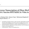 La vacuna COVID-19 de Pfizer entra en las células del hígado y se convierte en ADN, según estudio de la Universidad Lung de Suecia