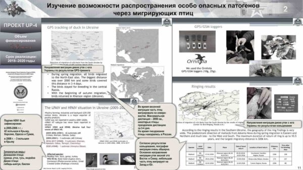Las armas biológicas del Pentágono: Rusia informa detalles del proyecto UP-4, realizado con la participación de biolaboratorios ucranianos