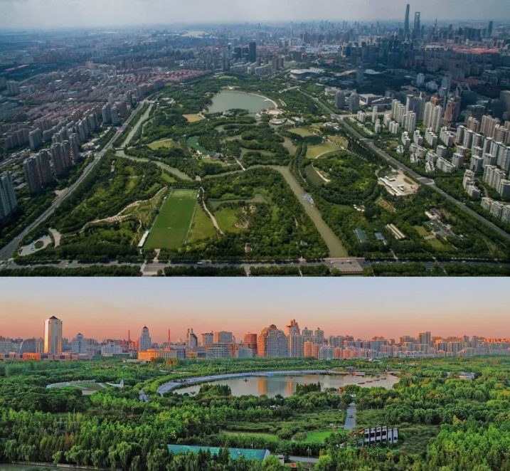 Century Park, el mayor parque de Shanghái con 346 acres.