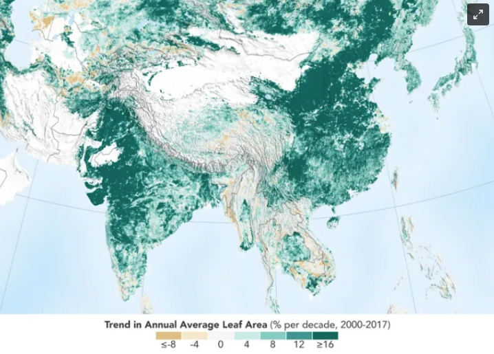 Estudio de la NASA de 2019 que demuestra un gran aumento de biomasa en la Tierra debido principalmente a la actividad humana de India y China