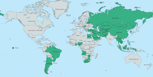 Gráfico 3. BRICS-Plus: Economía física